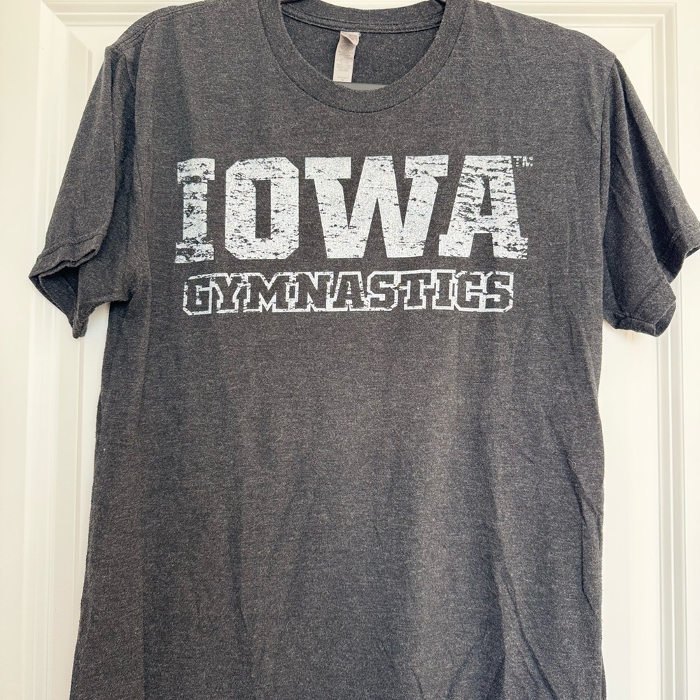 Gray Iowa Gymnastics T-Shirt